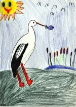 Varmeďová Lenka.jpg